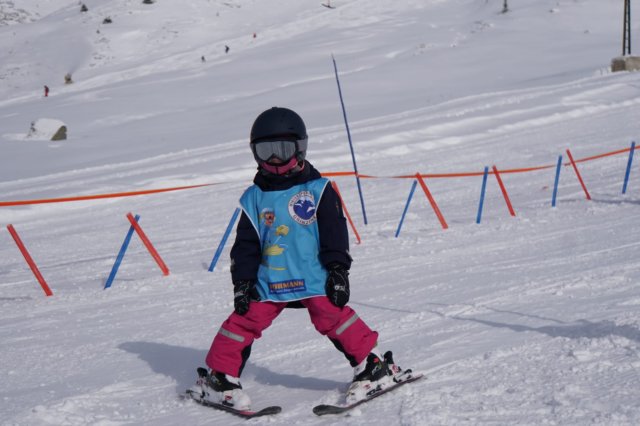 img20250214wa0025.jpg