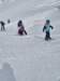 img20250214wa0027_small.jpg