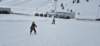 img20250214wa0038_small.jpg