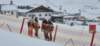 img20250214wa0039_small.jpg