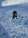 img20241221wa0013_small.jpg
