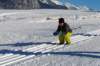 p1220275_bearbeitet1_small.jpg