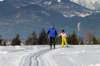 p1220388_bearbeitet1_small.jpg