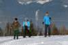 p1220435_bearbeitet1_small.jpg