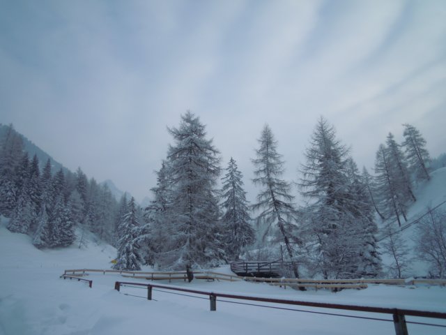 dscn0007.jpg