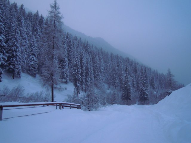 dscn0010.jpg