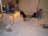 dscn0036_small.jpg
