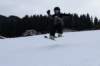 dsc05718_small.jpg