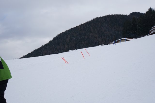 dsc05923.jpg