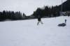 dsc05927_small.jpg
