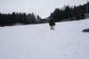 dsc05931_small.jpg
