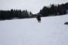 dsc05932_small.jpg