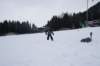 dsc05939_small.jpg