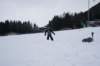 dsc05940_small.jpg