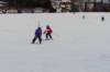 p1110089_small.jpg