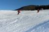 p1120665_small.jpg