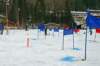p1120681_small.jpg