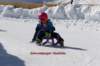 img20250407wa0005_small.jpg