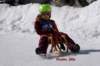 img20250407wa0007_small.jpg