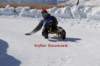 img20250407wa0022_small.jpg