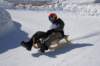 img20250407wa0023_small.jpg