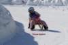 img20250407wa0025_small.jpg