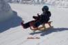 img20250407wa0027_small.jpg
