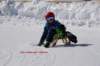 img20250407wa0028_small.jpg