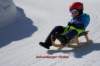 img20250407wa0029_small.jpg