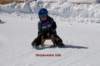 img20250407wa0030_small.jpg