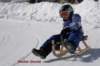 img20250407wa0031_small.jpg