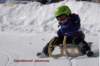 img20250407wa0032_small.jpg