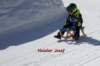 img20250407wa0036_small.jpg
