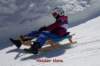 img20250407wa0039_small.jpg