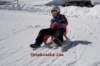 img20250407wa0043_small.jpg