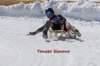 img20250407wa0051_small.jpg