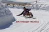 img20250407wa0053_small.jpg