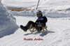 img20250407wa0063_small.jpg