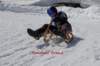 img20250407wa0064_small.jpg