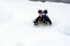 img20260316wa0004_small.jpg