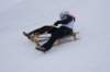 img20260316wa0018_small.jpg