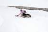 img20260316wa0027_small.jpg