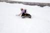 img20260316wa0028_small.jpg