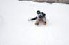 img20260316wa0030_small.jpg