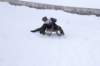 img20260316wa0032_small.jpg