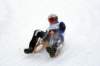 img20260316wa0034_small.jpg