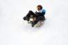 img20260316wa0035_small.jpg
