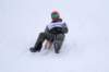 img20260316wa0039_small.jpg
