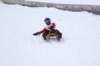 img20260316wa0040_small.jpg