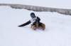 img20260316wa0041_small.jpg